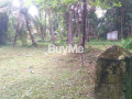 2-land-blocks-of-20-perches-to-sale-about-400m-to-rodeegama-road-small-0