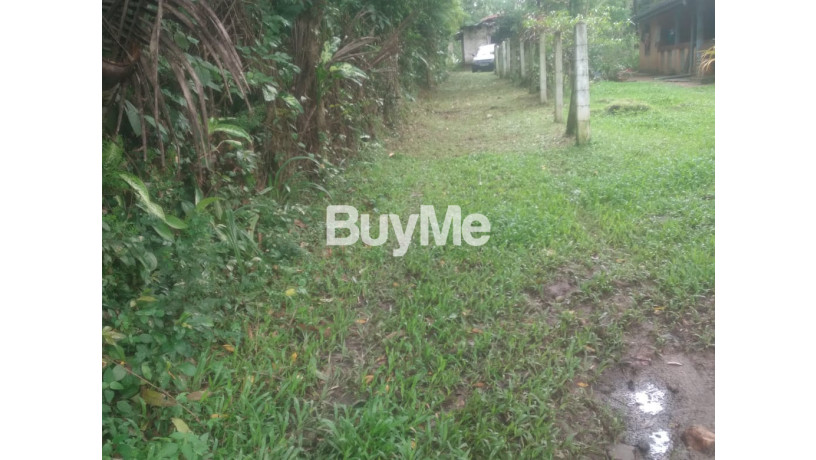 2-land-blocks-of-20-perches-to-sale-about-400m-to-rodeegama-road-big-3