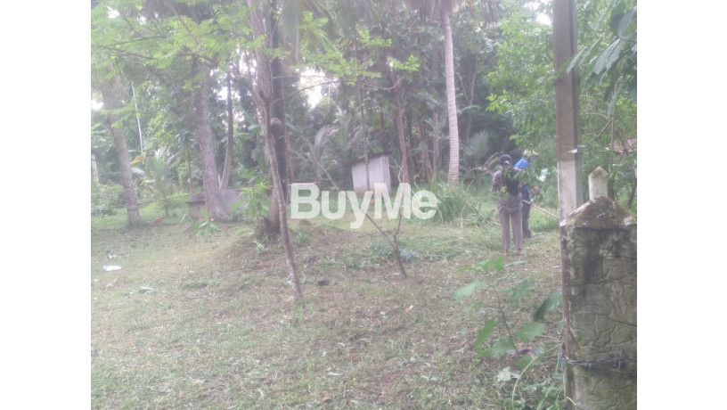 2-land-blocks-of-20-perches-to-sale-about-400m-to-rodeegama-road-big-4
