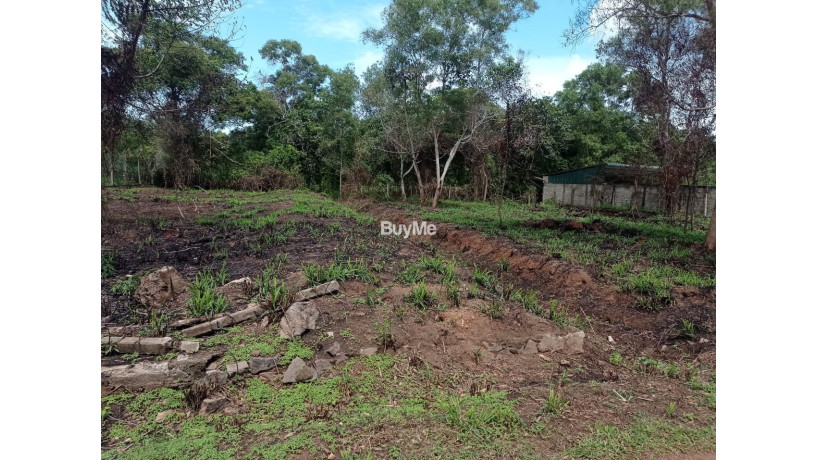 land-for-sale-in-disagewaththakatananegombo-big-0
