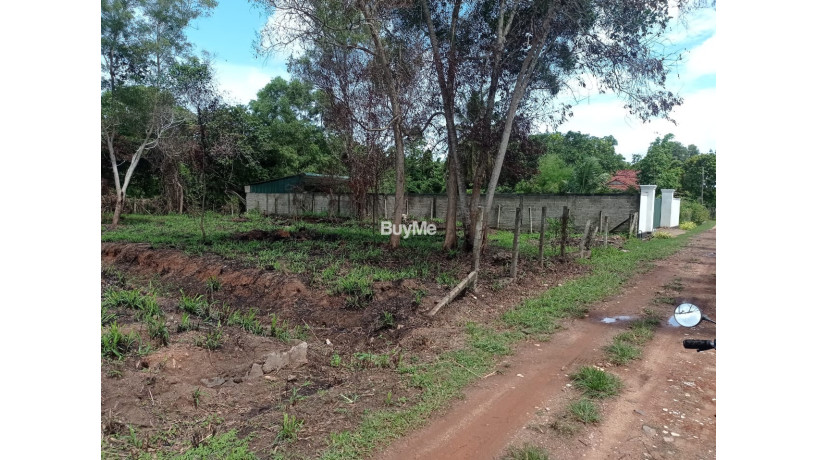 land-for-sale-in-disagewaththakatananegombo-big-1