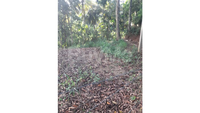 bare-land-for-sale-in-dharma-ashoka-mawatha-lewella-kandy-big-6