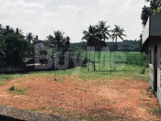 LAND FOR SALE IN WELIVERIYA - RAN NIYARA BY SAVI LANDS