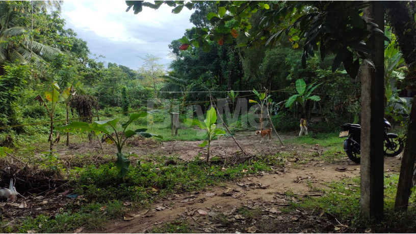 land-for-sale-in-thalpitiya-wadduwa-big-0