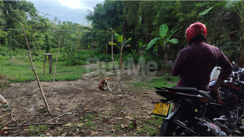land-for-sale-in-thalpitiya-wadduwa-big-5