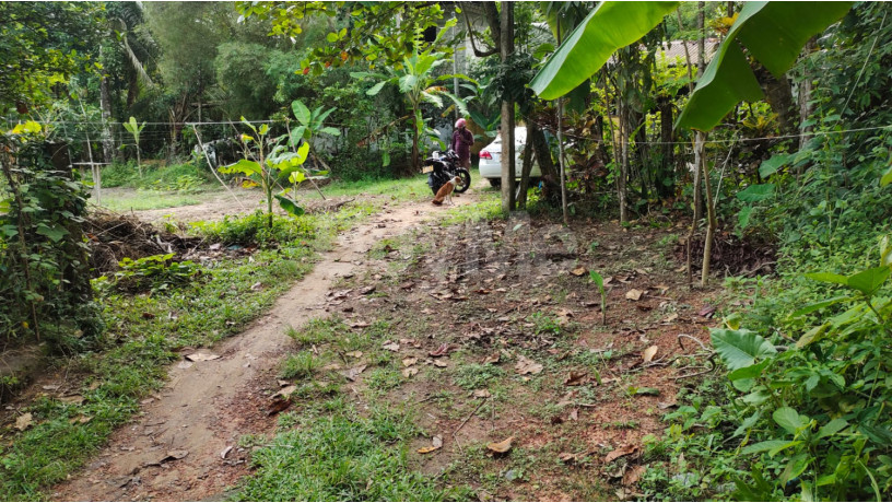 land-for-sale-in-thalpitiya-wadduwa-big-2