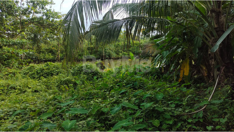 land-for-sale-in-thalpitiya-wadduwa-big-1