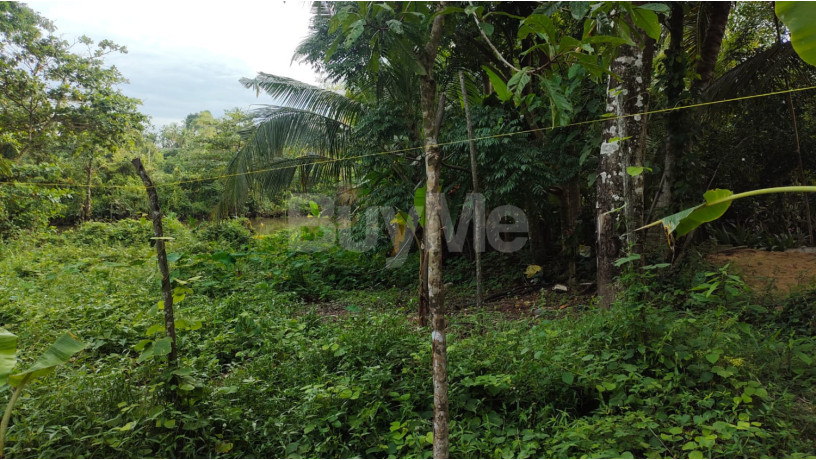 land-for-sale-in-thalpitiya-wadduwa-big-4