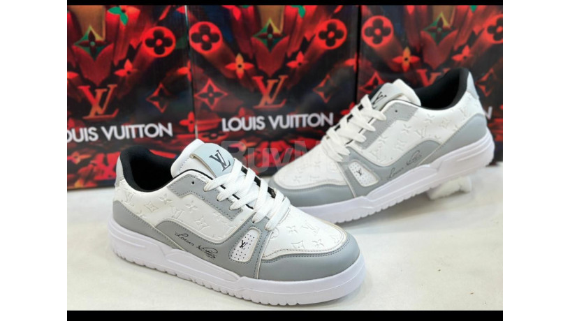 louise-vuitton-shoe-70b-grey-and-white-mixed-big-0