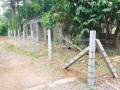 valuable-land-for-sale-in-udugampola-small-3