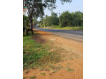 land-for-sale-in-anuradhapura-small-4
