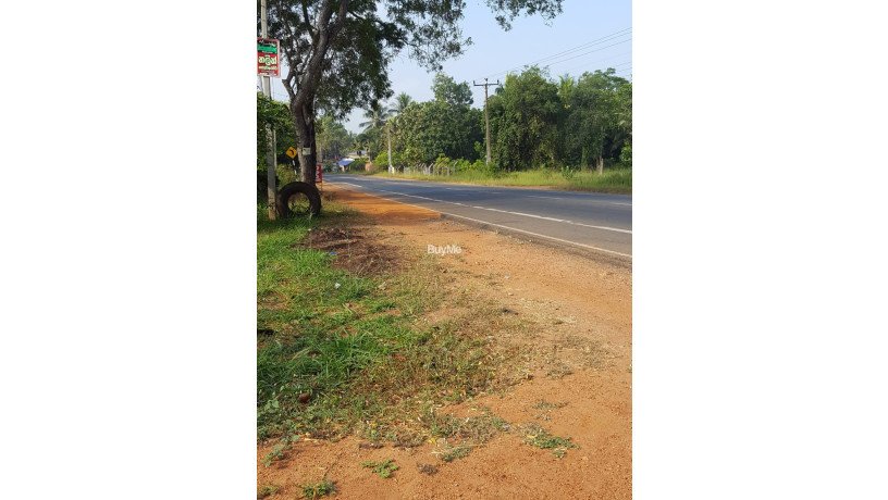 land-for-sale-in-anuradhapura-big-4