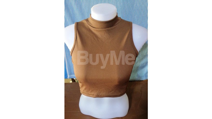 ladies-short-sleeve-top-brown-big-0