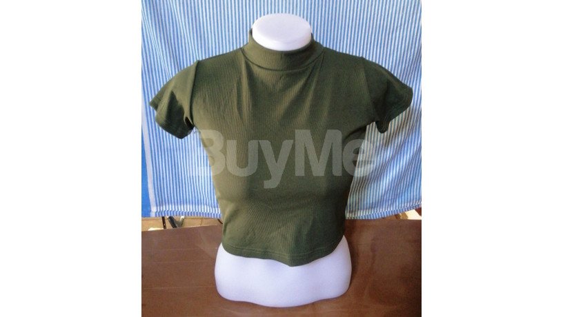 ladies-short-sleeve-top-green-big-0