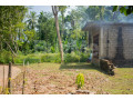 land-for-sale-in-bandarawatta-gampaha-small-4