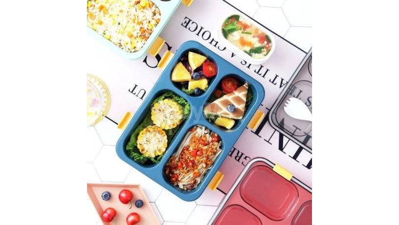 bento-box-4-compartments-big-0