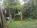 land-for-sale-in-battaramulla-town-small-1