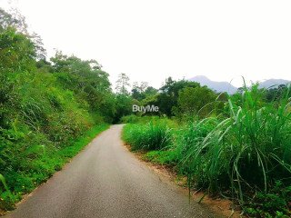 LAND FOR SALE IN GAMPOLA