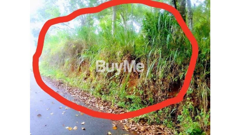 land-for-sale-in-gampola-big-1