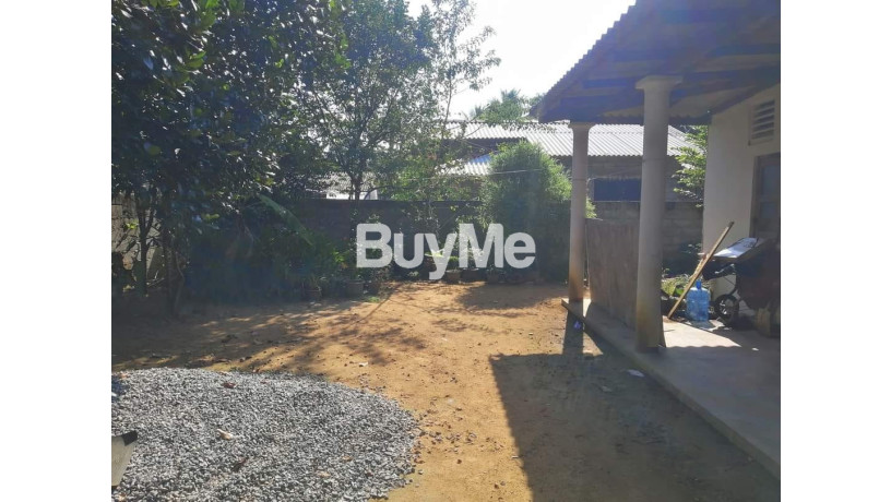 house-with-land-for-sale-in-homagama-halbarawa-road-big-1