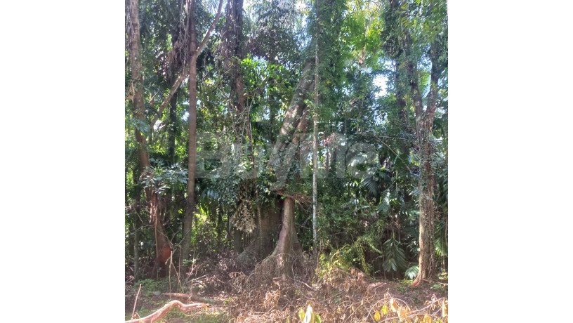 valuable-land-for-sale-in-pituwalgoda-yakkala-big-4