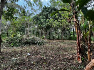 LAND FOR SALE IN KATUNAYAKA