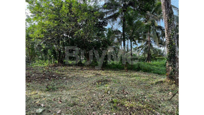 land-for-sale-in-katunayaka-big-2