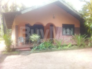 VALUABLE HOUSE WITH 80 PERCH LAND SALE IN UDUGAMPALA