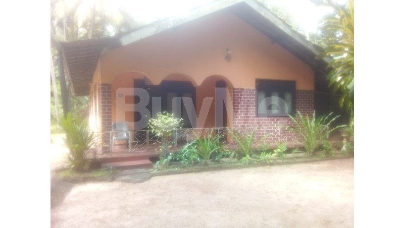 valuable-house-with-80-perch-land-sale-in-udugampala-big-0