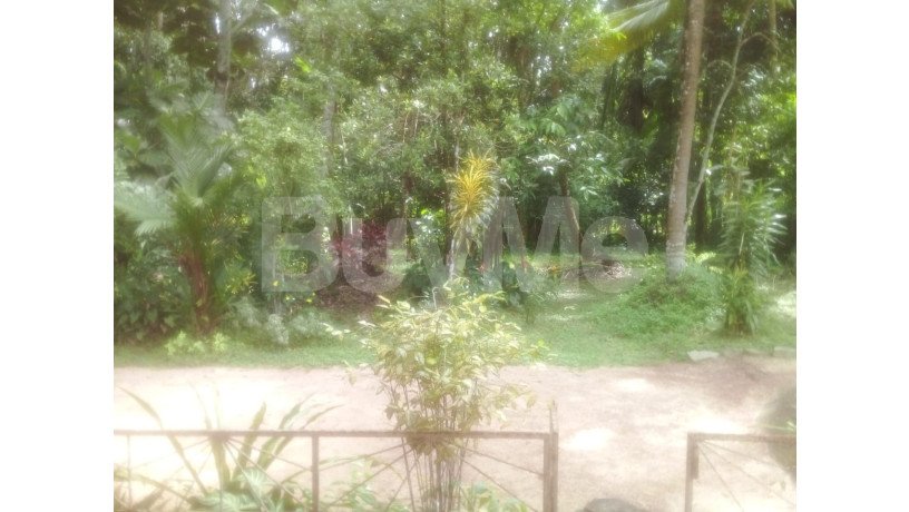 valuable-house-with-80-perch-land-sale-in-udugampala-big-3