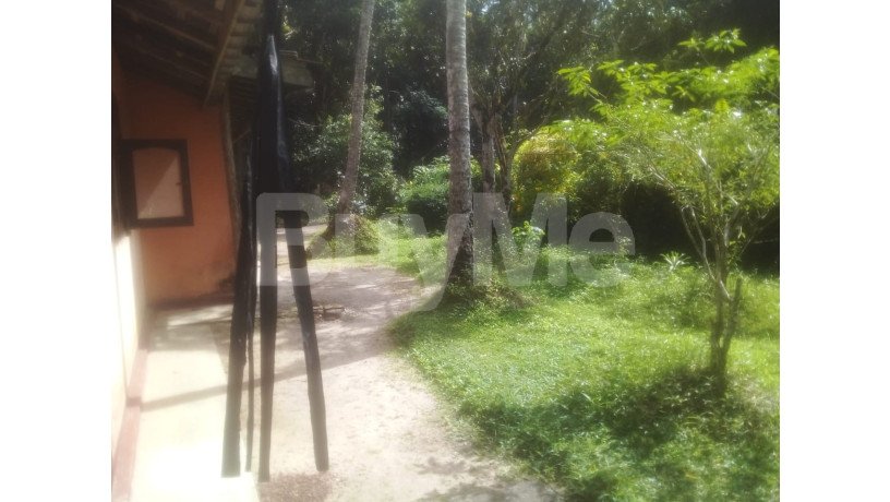 valuable-house-with-80-perch-land-sale-in-udugampala-big-2