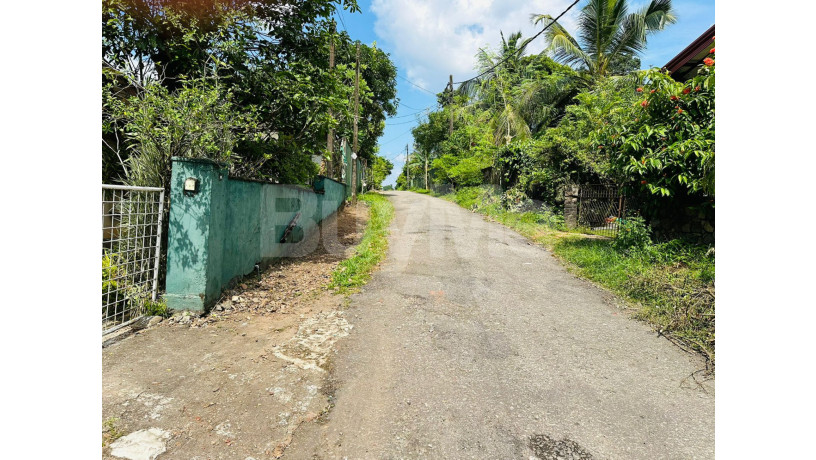 valuable-land-for-sale-with-old-house-in-makumbura-kottawa-big-7