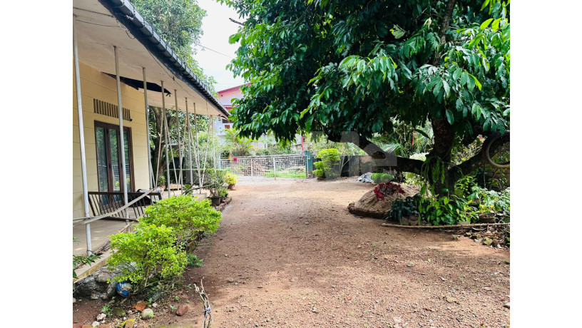valuable-land-for-sale-with-old-house-in-makumbura-kottawa-big-2