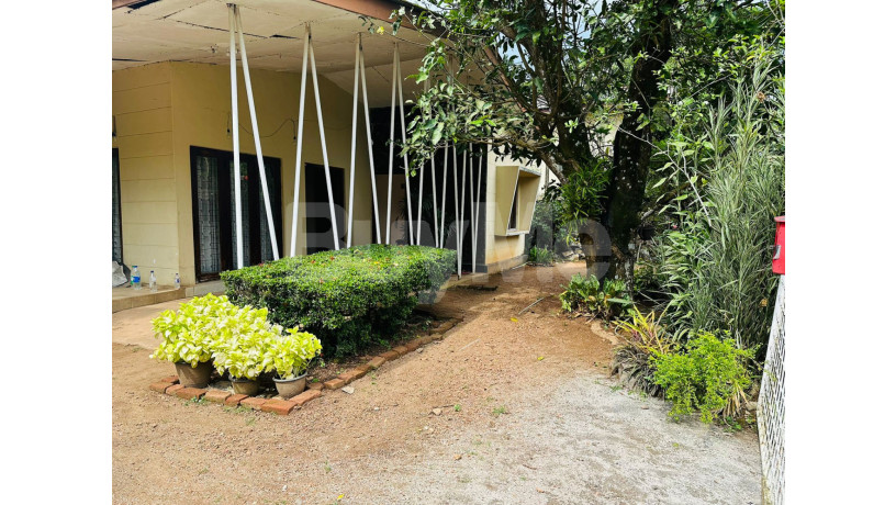 valuable-land-for-sale-with-old-house-in-makumbura-kottawa-big-5