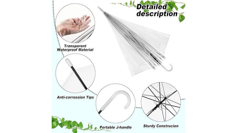 transparent-umbrella-big-1