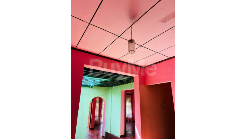 house-for-rent-in-kandana-near-de-mazenod-college-big-2