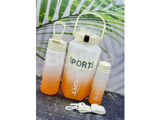 3 IN 1 BOTTLE SET WITH PHONE HOLDER