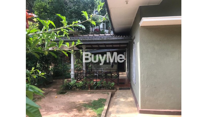 house-for-sale-in-aniwatta-big-5