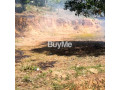 land-for-sale-in-kalutara-north-ethanamadala-small-5