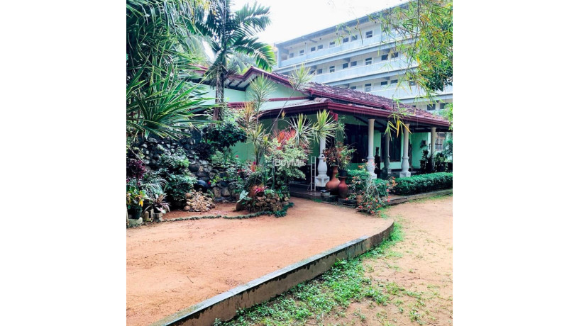 land-house-for-sale-in-kalutara-katukurunda-sebastian-road-big-5