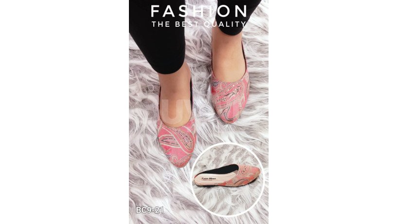 ladies-shoe-design-big-0