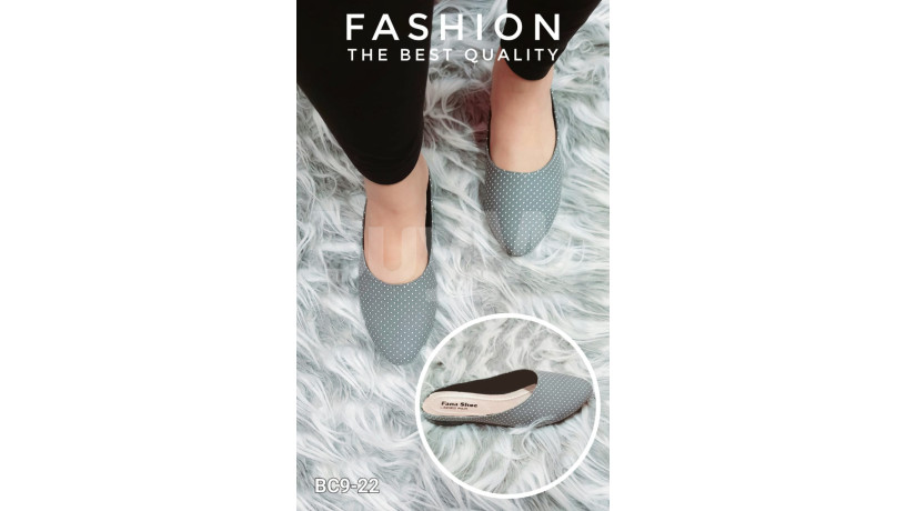 ladies-shoe-collection-big-0