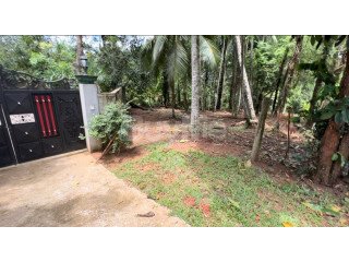 LAND FOR SALE IN PITIPANA