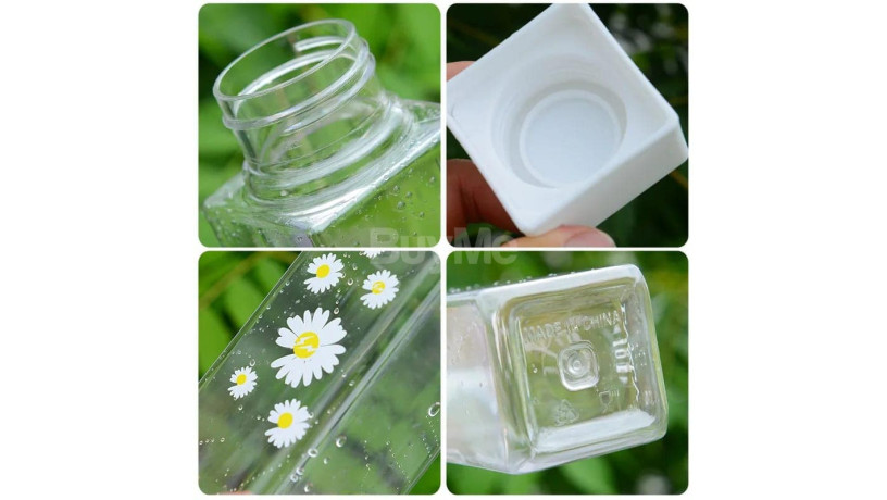 daisy-water-bottlep5bpa-big-1