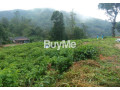 bare-land-for-sale-in-bandarawela-welimada-road-s279-small-4