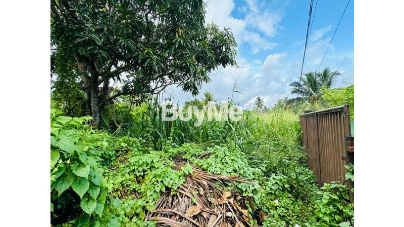 bare-land-for-sale-in-battaramulla-pipe-road-himbutana-s124-big-2