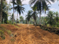 valuable-3-acres-of-coconut-land-for-sale-in-gampaha-small-3