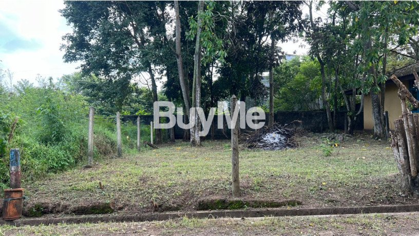 land-for-sale-in-battaramulla-pipe-road-scheme-s134-big-1