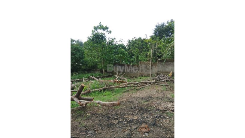 land-for-sale-in-habaraduwa-big-3