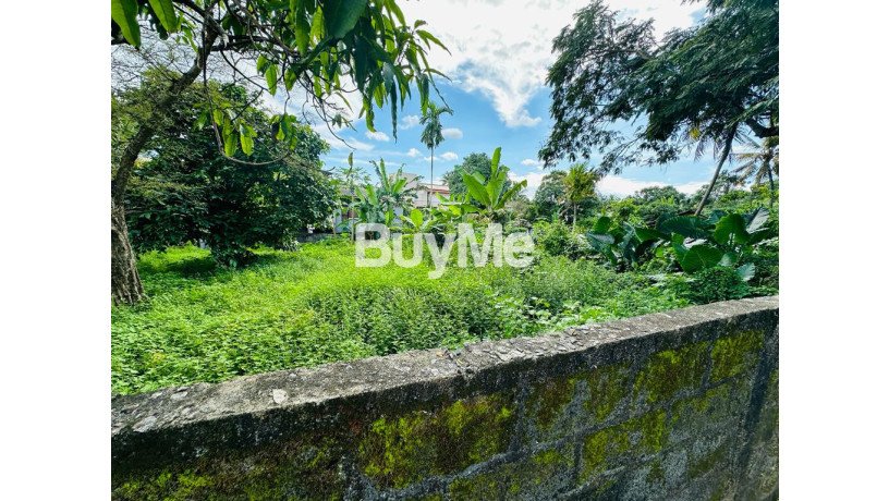 bare-land-for-sale-in-battaramulla-aruppitiya-s170-big-0